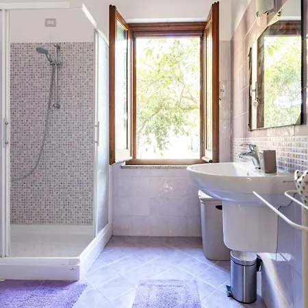 Ale House Experience