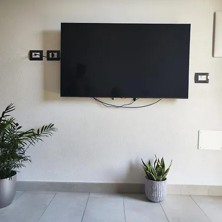 Ale House Experience