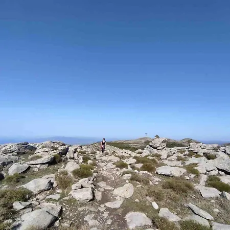 Ale House Experience *