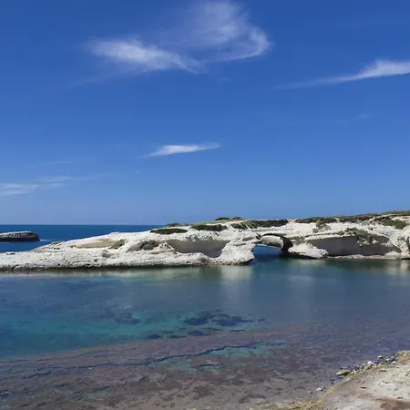 Ale House Experience