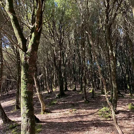 Ale House Experience *