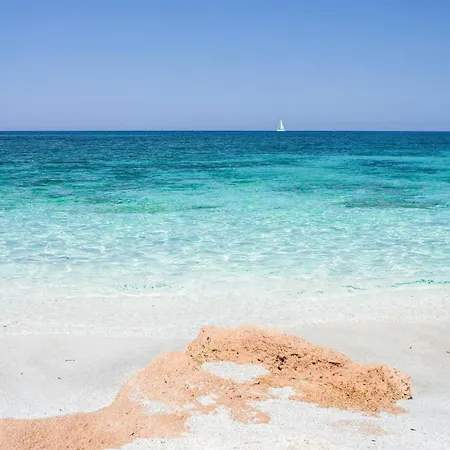 Ale House Experience 펜션 *