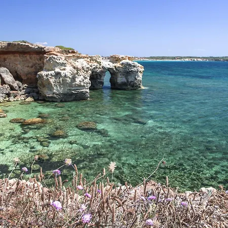 Ale House Experience 펜션