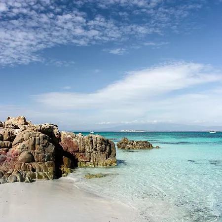 Ale House Experience 리올라사르도