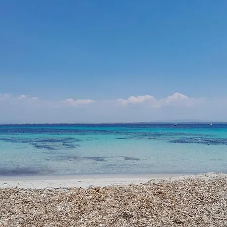 Ale House Experience 펜션 리올라사르도