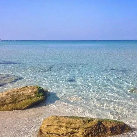 Ale House Experience 펜션