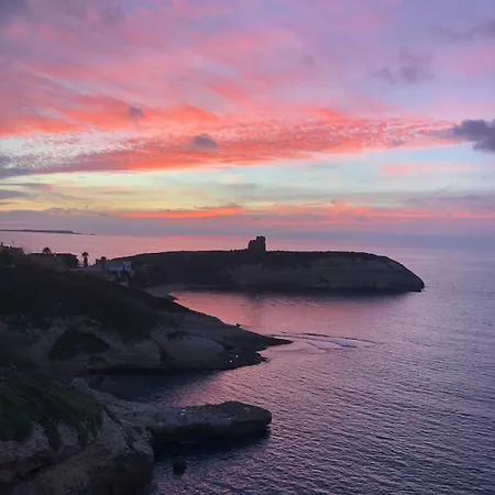 펜션 Ale House Experience 리올라사르도