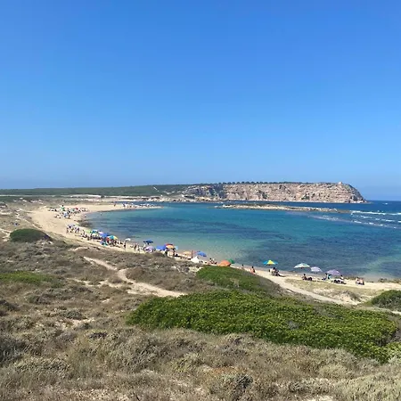 Holiday home Ale House Experience