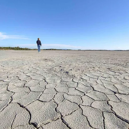 Ale House Experience