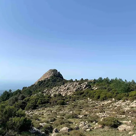 Ale House Experience *