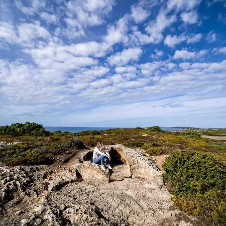 Dom wakacyjny Ale House Experience