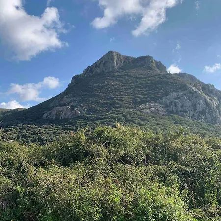 Ale House Experience Ferienhaus