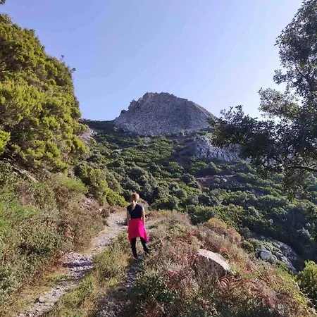 Ale House Experience * Riola Sardo