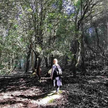 Ale House Experience Dom wakacyjny *