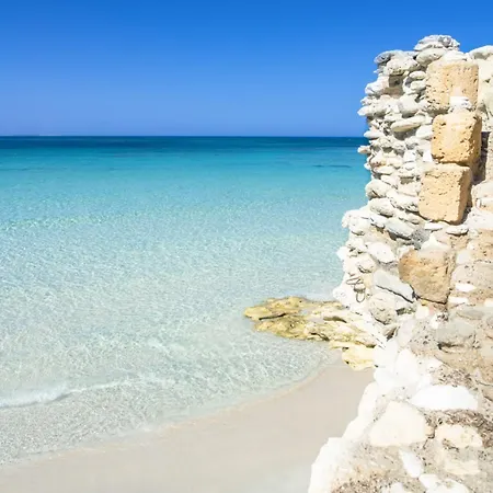 Dom wakacyjny Ale House Experience