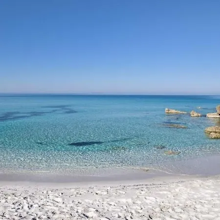 Ale House Experience