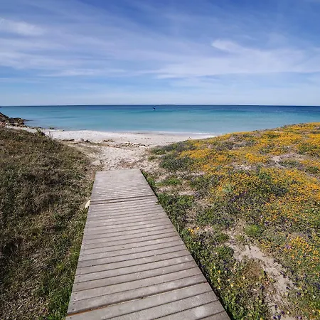 Dom wakacyjny Ale House Experience