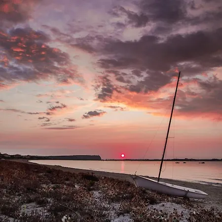 Ale House Experience *