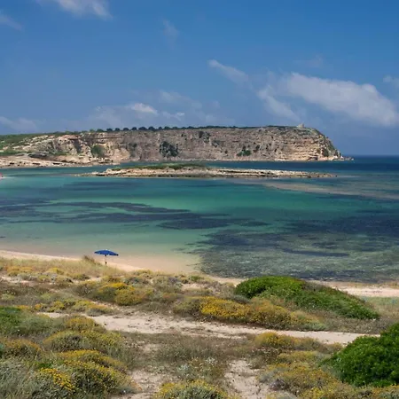 Ferienhaus Ale House Experience