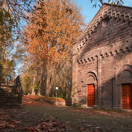 Ale House Experience