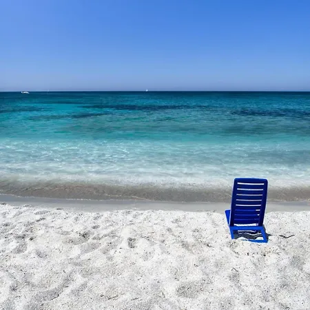 Ale House Experience