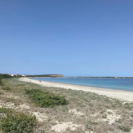 Ale House Experience *