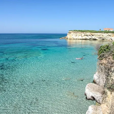 Ale House Experience