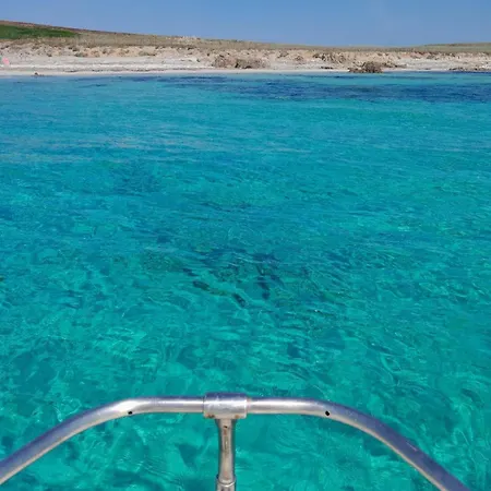 Ale House Experience *