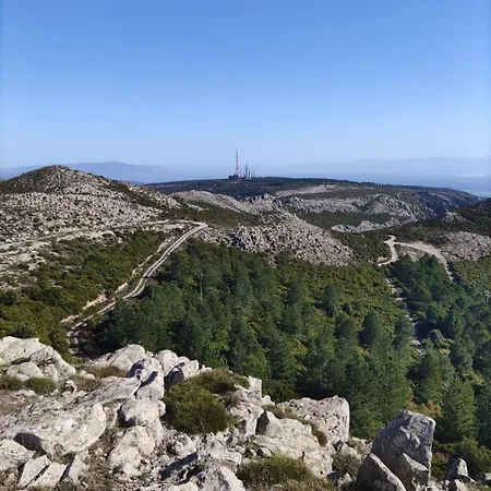 Ale House Experience *