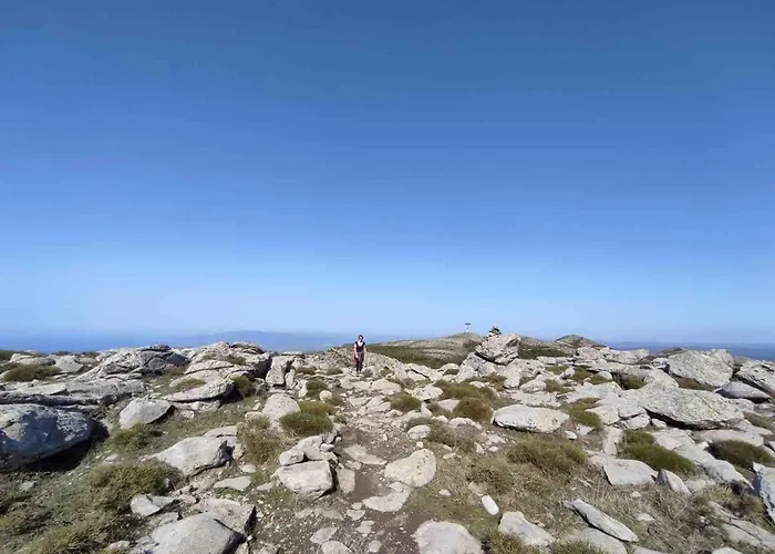 Ale House Experience *