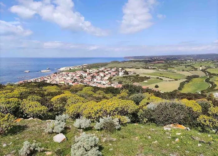 Ale House Experience